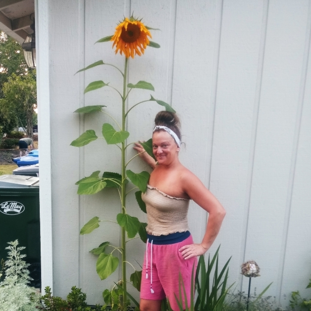 Meet your Posher, Melisa